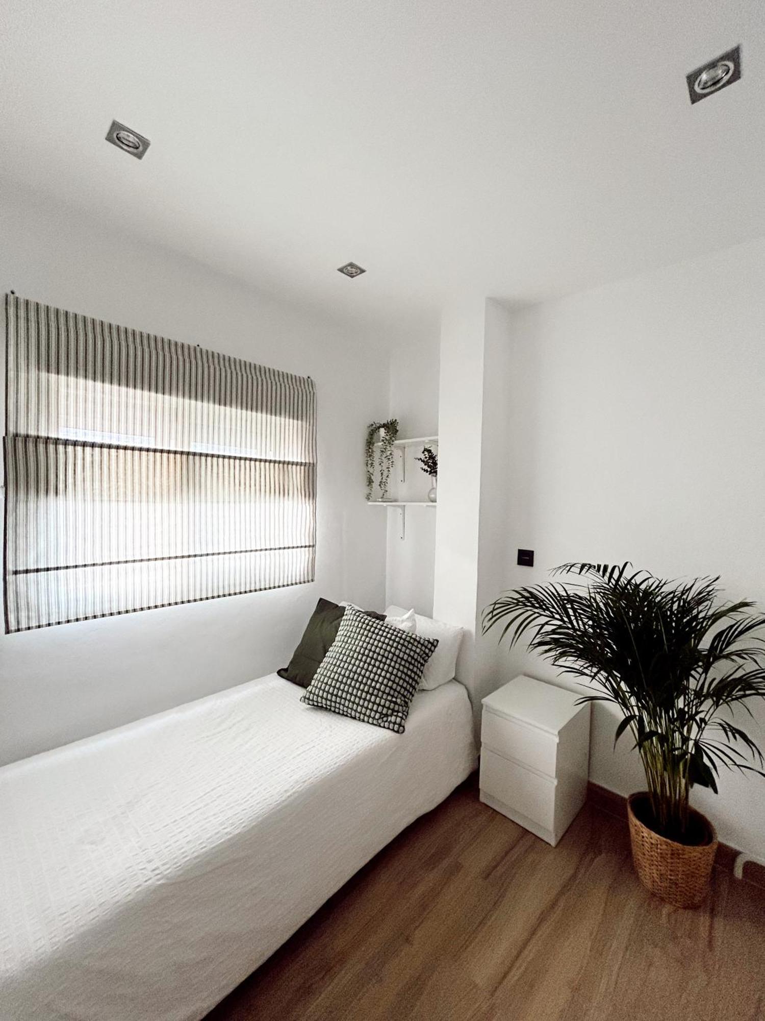 Apartamento Cosy Trinidad Málaga Exterior foto